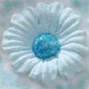 Edible Icing Daisy Flowers - Blue